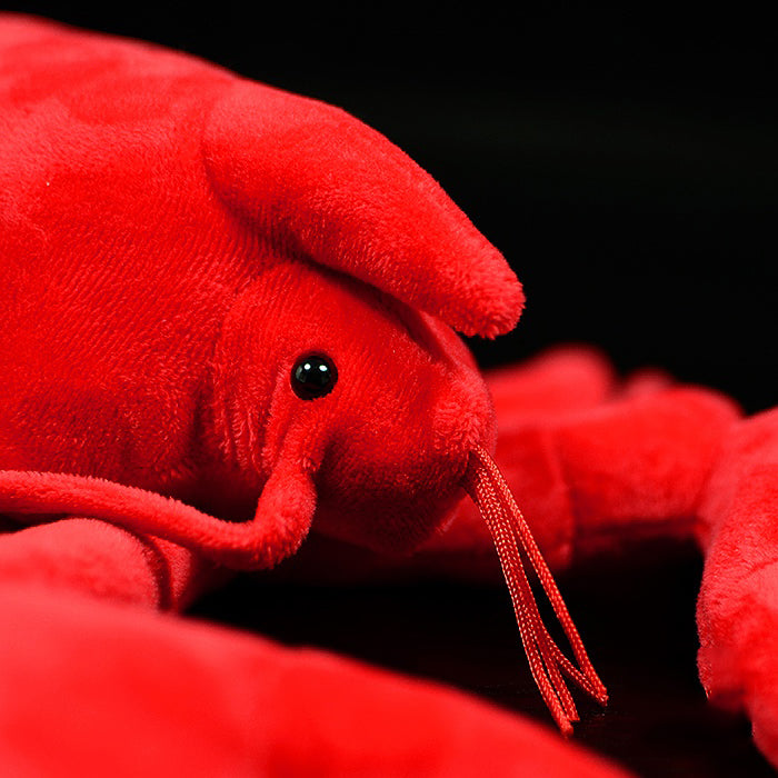 Lobster plush toy